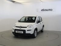 usado Fiat Panda 1.0 MHEV 70 5P