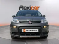 Usado Fiat Panda City Life 71 CV (52 kW) 2023 Gris Utilitario