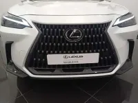 Usado Lexus NX350h Business Edition 242 CV (177 kW) 2024 Blanco SUV