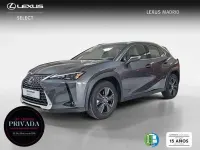Usado Lexus UX 300h 199 CV (146 kW) 2025 Gris SUV