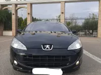 Usado Peugeot 407 Coupe 136 CV (100 kW) 2008 Negro Coupe