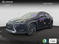 Nuevo Lexus UX 198 CV (145 kW) 2026 Gris SUV