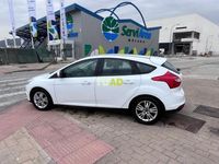 usado Ford Focus 1.6 tdci 115 trend