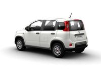 usado Fiat Panda 1.0 Gse Hybrid