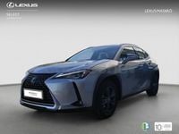 Usado Lexus UX Business Edition 184 CV (135 kW) 2022 Gris / plata SUV