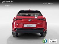 Usado Lexus UX Business Edition 183 CV (134 kW) 2022 Rojo SUV