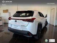 Usado Lexus UX Business Edition 184 CV (135 kW) 2022 Blanco SUV
