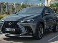 Usado Lexus NX300h Executive Line 197 CV (144 kW) 2018 Gris SUV