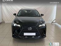 Usado Lexus NX350h 242 CV (177 kW) 2024 Negro SUV