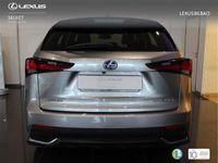 usado Lexus NX300 300h Business 2WD