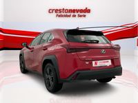 Usado Lexus UX Business Edition 152 CV (111 kW) 2022 Rojo SUV
