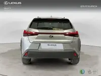 Usado Lexus UX 199 CV (146 kW) 2025 Gris / plata SUV