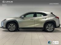 Usado Lexus UX 300e Business Edition 150 kW (204 CV) 2021 Gris SUV