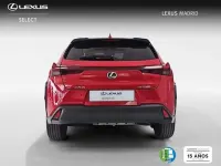 Usado Lexus UX 250h 184 CV (135 kW) 2024 Rojo SUV