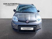 usado Fiat Panda 1.0 Gse City Live Hybrid