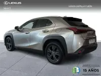 Usado Lexus UX 300h 199 CV (146 kW) 2025 Gris SUV