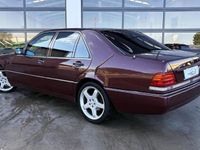 Usado Mercedes 300 SE 231 CV (169 kW) 2021 Berlina
