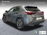 usado Lexus UX 250h Executive Navigation 2wd '19