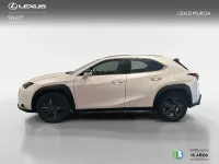 Usado Lexus UX Business Edition 184 CV (135 kW) 2023 Blanco SUV