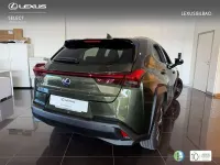 Usado Lexus UX 250h Business Edition 184 CV (135 kW) 2022 Verde SUV