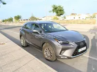 Usado Lexus NX300h Business Edition 197 CV (144 kW) 2019 Gris / plata SUV