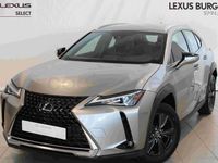 Usado Lexus UX Business Edition 184 CV (135 kW) 2022 Gris / plata SUV
