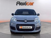 Usado Fiat Panda 71 CV (52 kW) 2022 Gris Utilitario