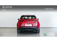 Usado Lexus UX 250h 184 CV (135 kW) 2022 Rojo SUV