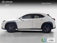 Usado Lexus UX 300h 200 CV (147 kW) 2025 Blanco SUV