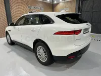 Usado Jaguar F-Pace Pure 163 CV (119 kW) 2017 Blanco SUV
