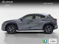 Usado Lexus UX 300h 200 CV (147 kW) 2024 Gris SUV