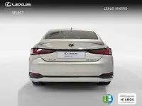 Usado Lexus ES300 218 CV (160 kW) 2022 Beige Berlina