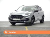 Usado Ford Kuga ST-Line X 190 CV (139 kW) 2023 Plata SUV