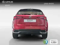 Usado Lexus NX300h Business Edition 197 CV (144 kW) 2020 Rojo SUV