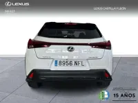 Usado Lexus UX 300h Sport Line 199 CV (146 kW) 2025 Blanco SUV