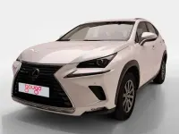 Usado Lexus NX300h Business Edition 197 CV (144 kW) 2019 SUV
