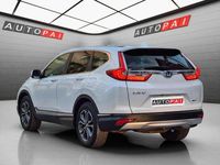 Usado Honda CR-V Elegance 184 CV (135 kW) 2023 Blanco SUV