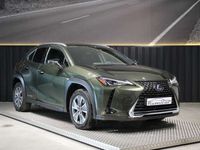 usado Lexus UX 300e Executive