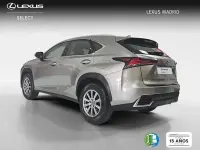 Usado Lexus NX300h Business Edition 197 CV (144 kW) 2018 Gris SUV