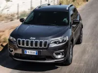Usado Jeep Cherokee Overland 194 CV (142 kW) 2018 Negro SUV