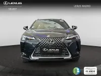 Nuevo Lexus UX 198 CV (145 kW) 2026 Gris SUV