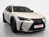 Usado Lexus UX 199 CV (146 kW) 2024 Blanco SUV