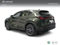 Nuevo Lexus NX350h 242 CV (177 kW) 2026 Verde SUV