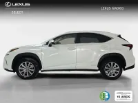 Usado Lexus NX300h Business Edition 197 CV (144 kW) 2019 Blanco SUV