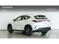 Usado Lexus NX350h 244 CV (179 kW) 2024 Blanco