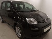 Usado Fiat Panda 69 CV (50 kW) 2024 Utilitario
