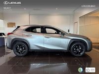 Usado Lexus UX 250h Business Edition 184 CV (135 kW) 2021 Plateado SUV