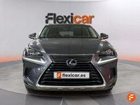 Usado Lexus NX300h Business Edition 197 CV (144 kW) 2019 Gris SUV