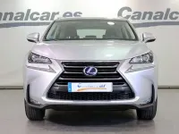 Usado Lexus NX300h Business Edition 154 CV (113 kW) 2018 Gris SUV