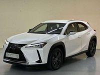 usado Lexus UX 250h Business City 2WD